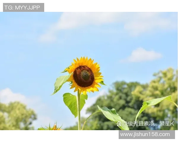 细数太阳五大高光时刻，满满回忆杀